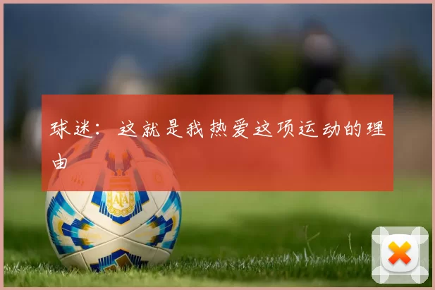 球迷：这就是我热爱这项运动的理由