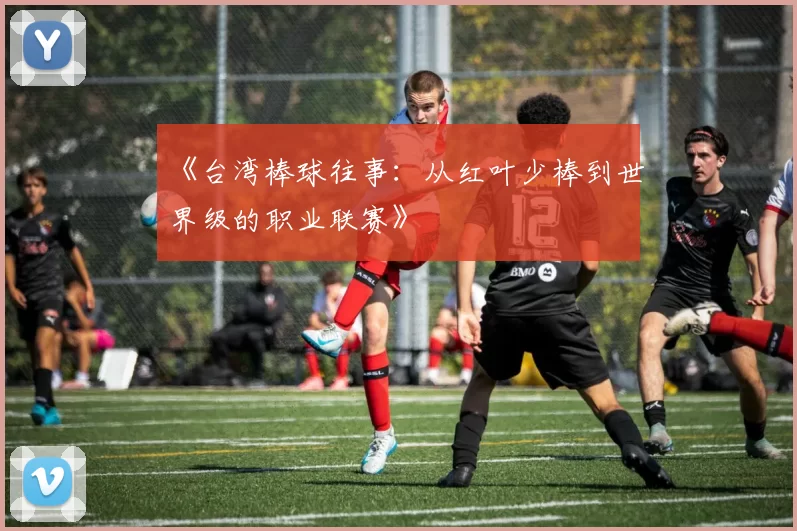 《台湾棒球往事：从红叶少棒到世界级的职业联赛》