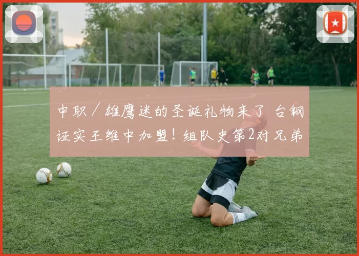 中职／雄鹰迷的圣诞礼物来了 台钢证实王维中加盟! 组队史第2对兄弟档
