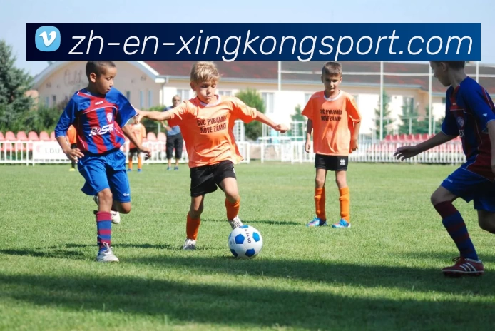 星空娱乐服务体系